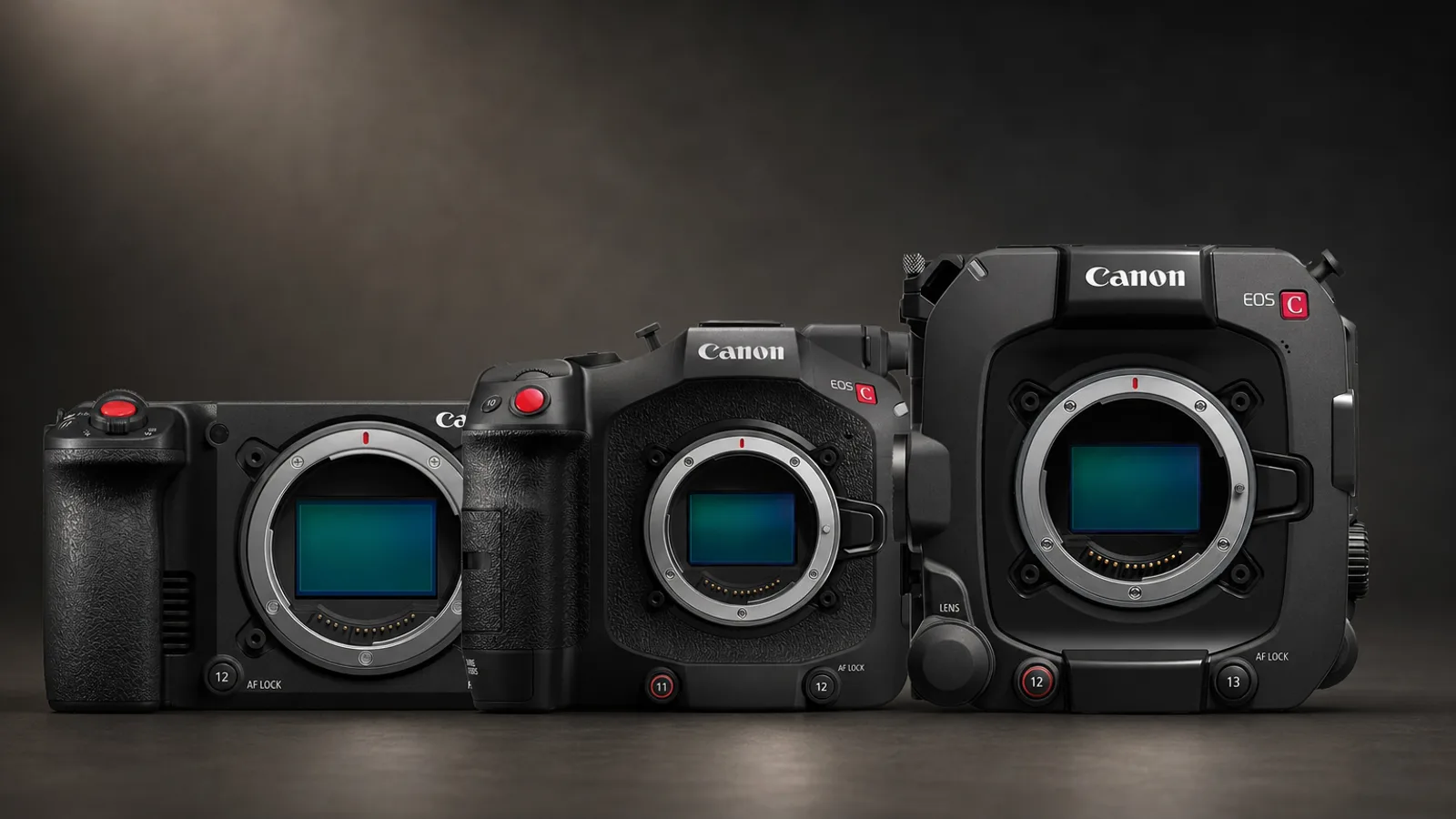 Canon EOS C50